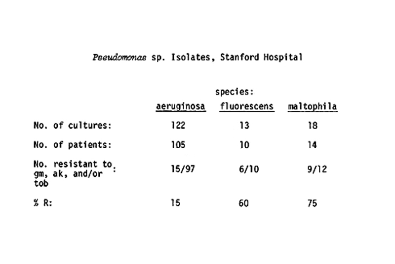 36 pseudomonas isolates